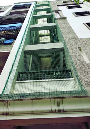 Jay Pigeon Net Masters